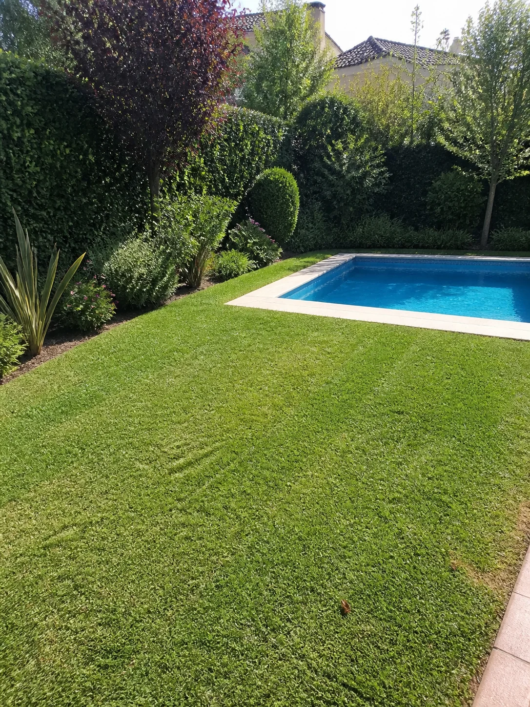Diseño de jardines para jardines en Barcelona
