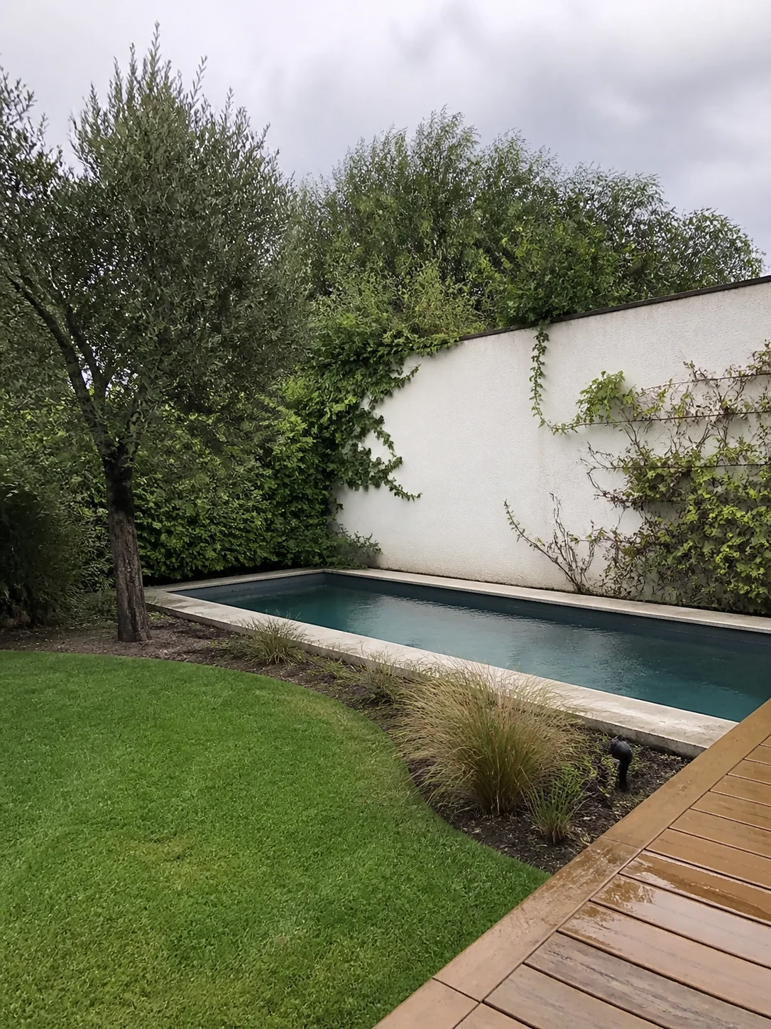 Entorno de piscina con paisajismo mediterráneo en Sant Cugat