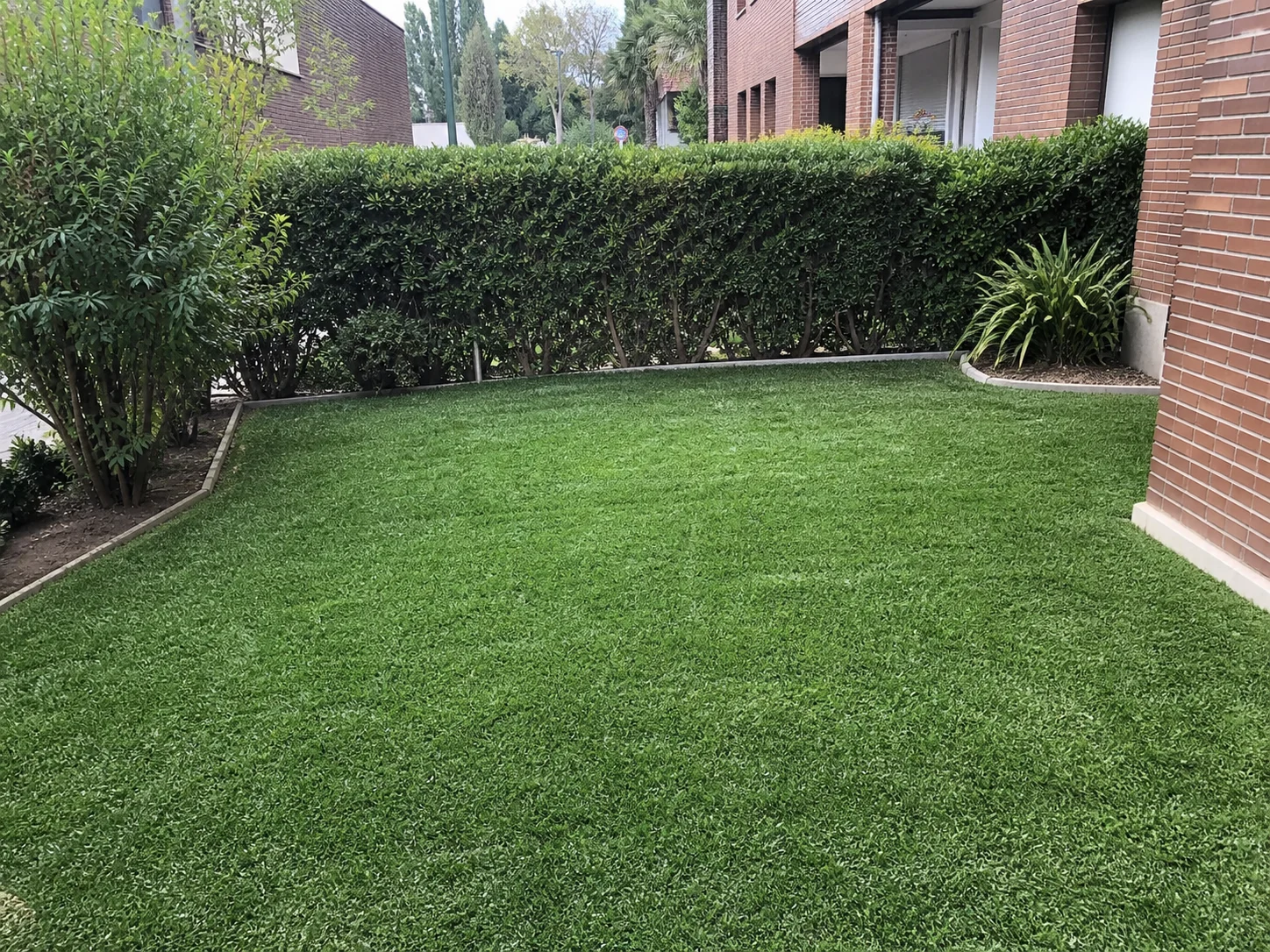 Jardines mediterráneos para jardines en Barcelona