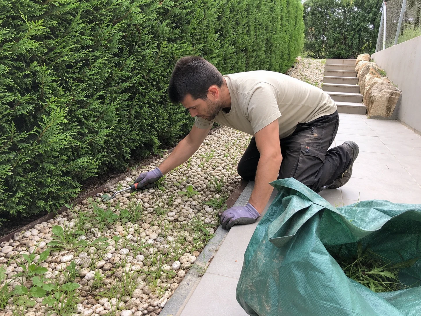 Trabajo cercano de mantenimiento en jardín mediterráneo
